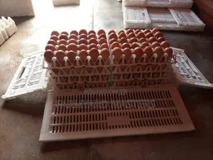 Egg Transportation Crates