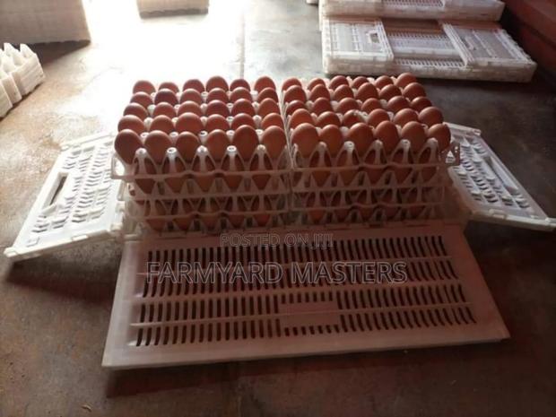 Egg Transportation Crates - thumbnail 2