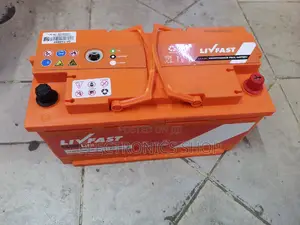Livfast Din 100.12v/100ah Automotive Car Battery
