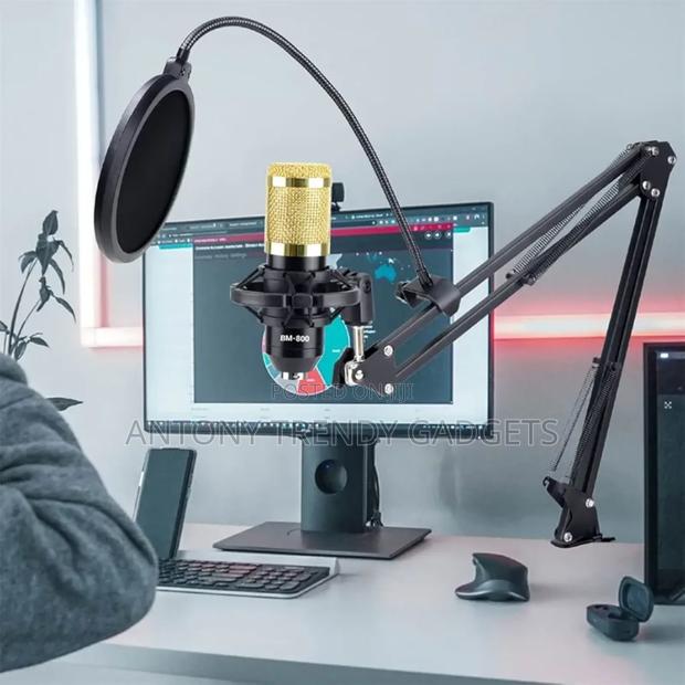 Multimedia Condenser Microphone Black Bm 800 - thumbnail 3