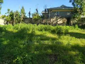 Eighth Acre Plot in Ngong Along Maragara Road With Perimeter