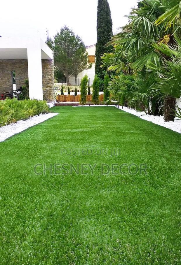 Cozy Ĝreen Grasss Carpet