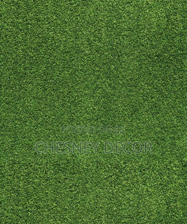 Wall Installation of ARTIFICIAL Grass - main view