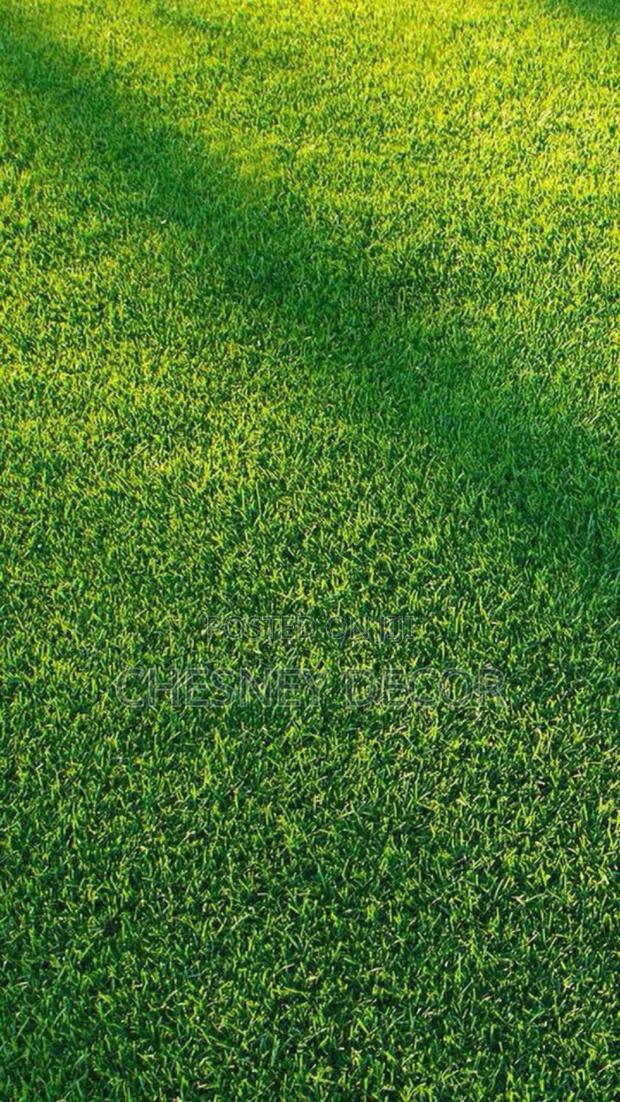 GREEN Artificial Grassy Carpetts - main view