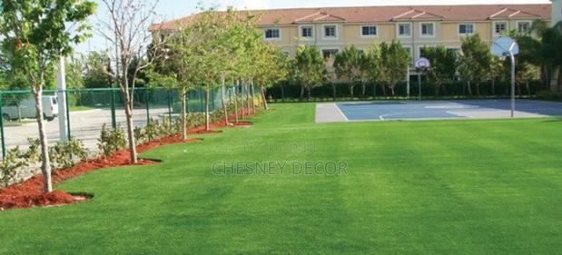 Pitch Lawn Green