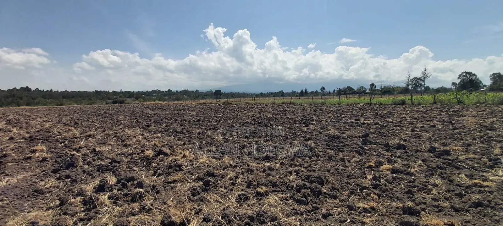 Prime Agricultural Land Naromoru,Munyu.