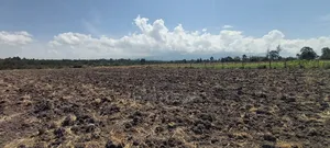 Prime Agricultural Land Naromoru,Munyu.