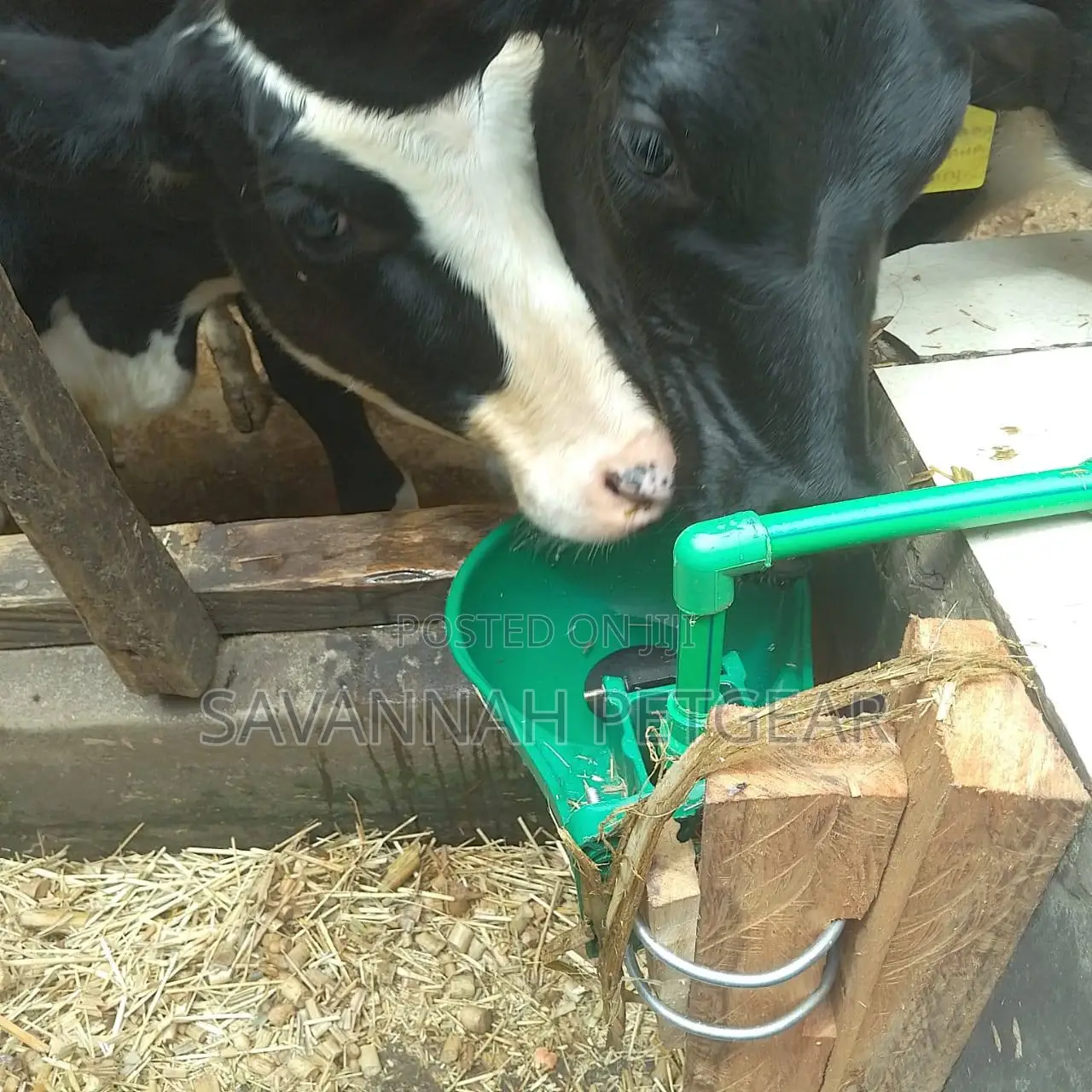 Cow Automatic Drinker Bowls - Capacity 2 Liters
