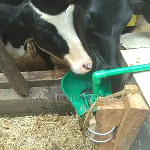 Cow Automatic Drinker Bowls - Capacity 2 Liters