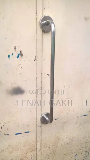 Stainless Grab Rail