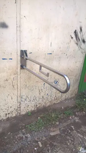 Stainless Grab Rail
