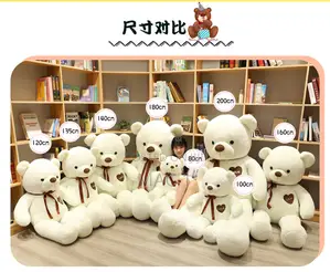 Sweet Giant Teddy Bear Best Girls Gift