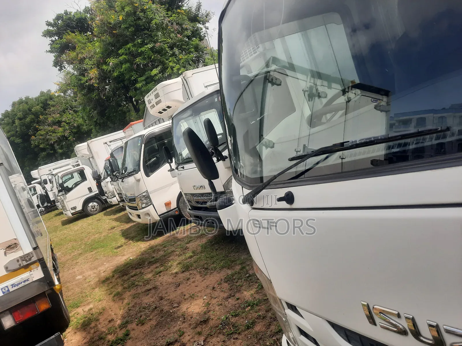 Isuzu Elf,Freezer