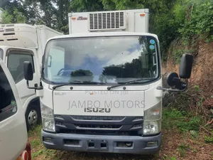Isuzu Elf,Freezer