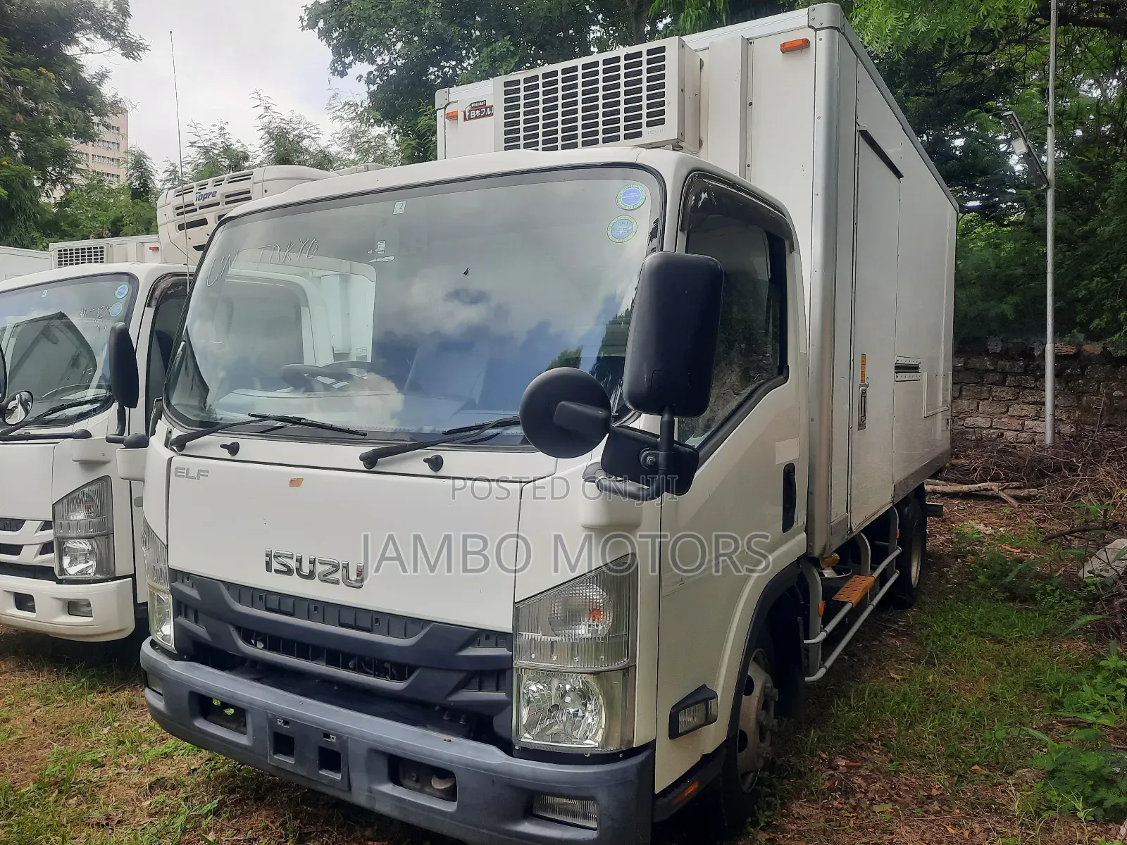 Isuzu Elf,Freezer