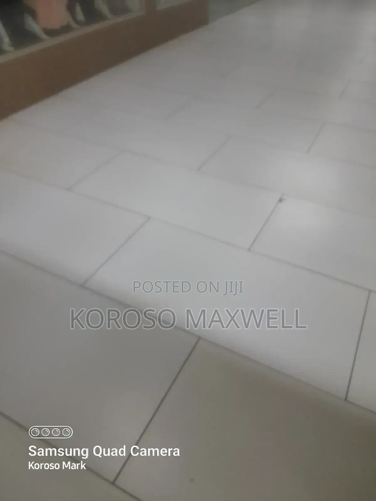 General Cleaning and Pest Control