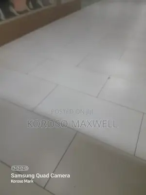 General Cleaning and Pest Control