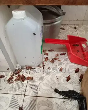 Pest Control