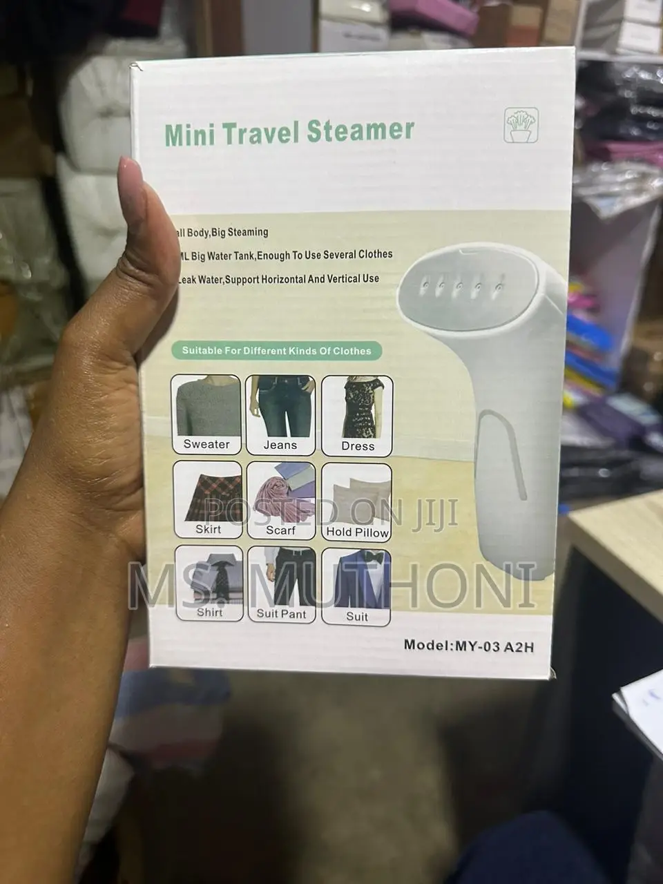 Portable/Travel Garment Steamer Iron Steamer