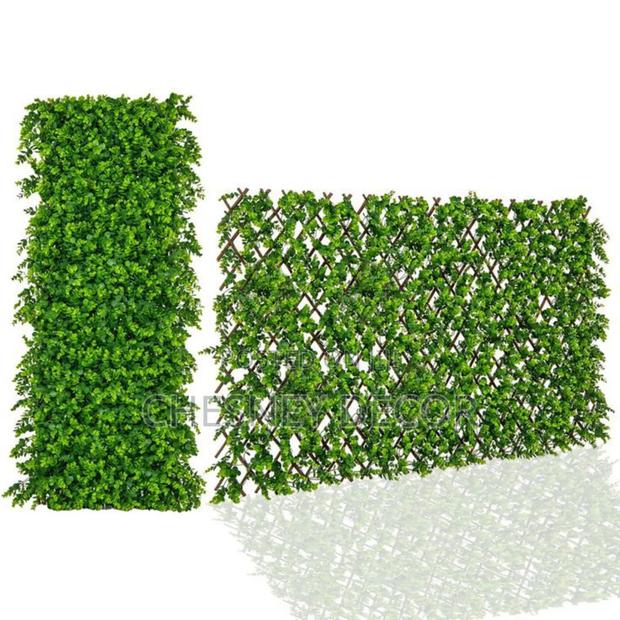 Perfect Hedge Screen for Garden/Balcony
