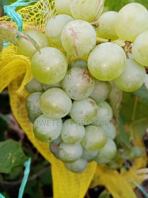 Sweet Green/White Grapes - main view