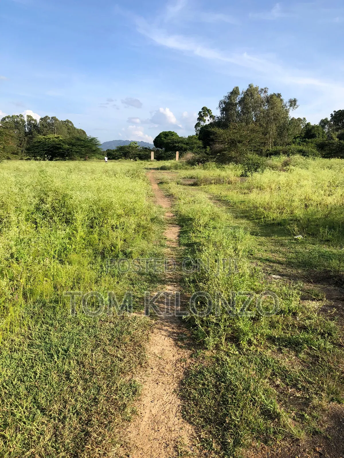 Prime 50 by 100 Plots for Sale.