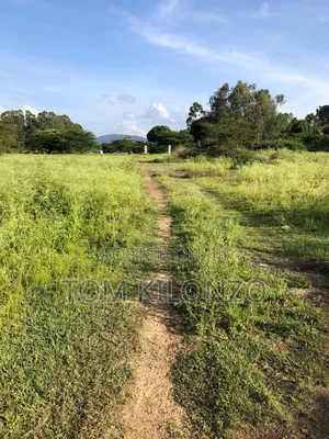 Prime 50 by 100 Plots for Sale.