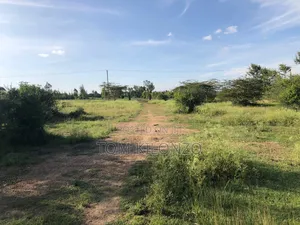 Prime 50 by 100 Plots for Sale.