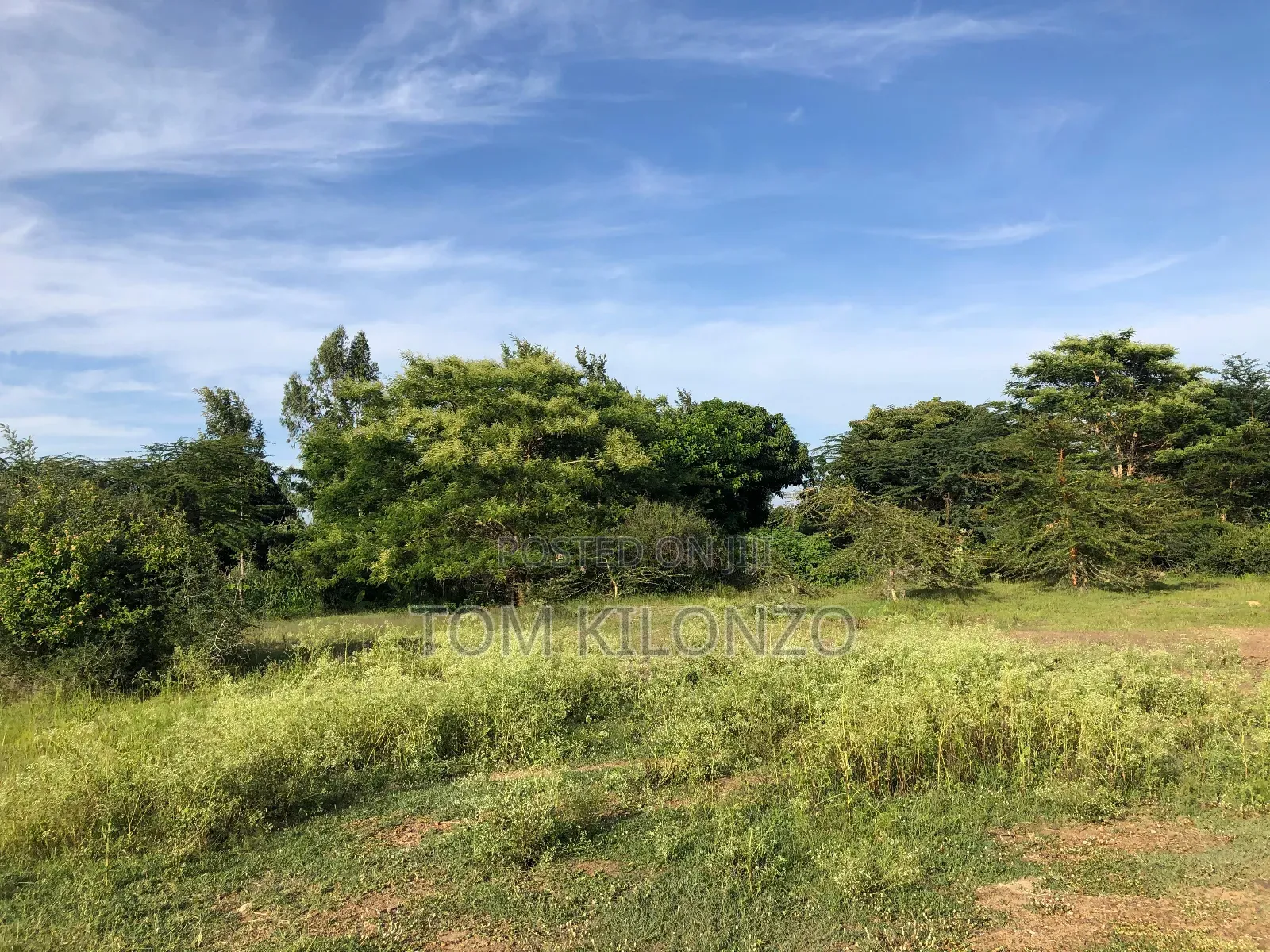 Prime 50 by 100 Plots for Sale.