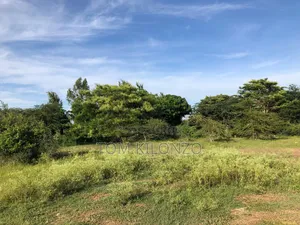 Prime 50 by 100 Plots for Sale.