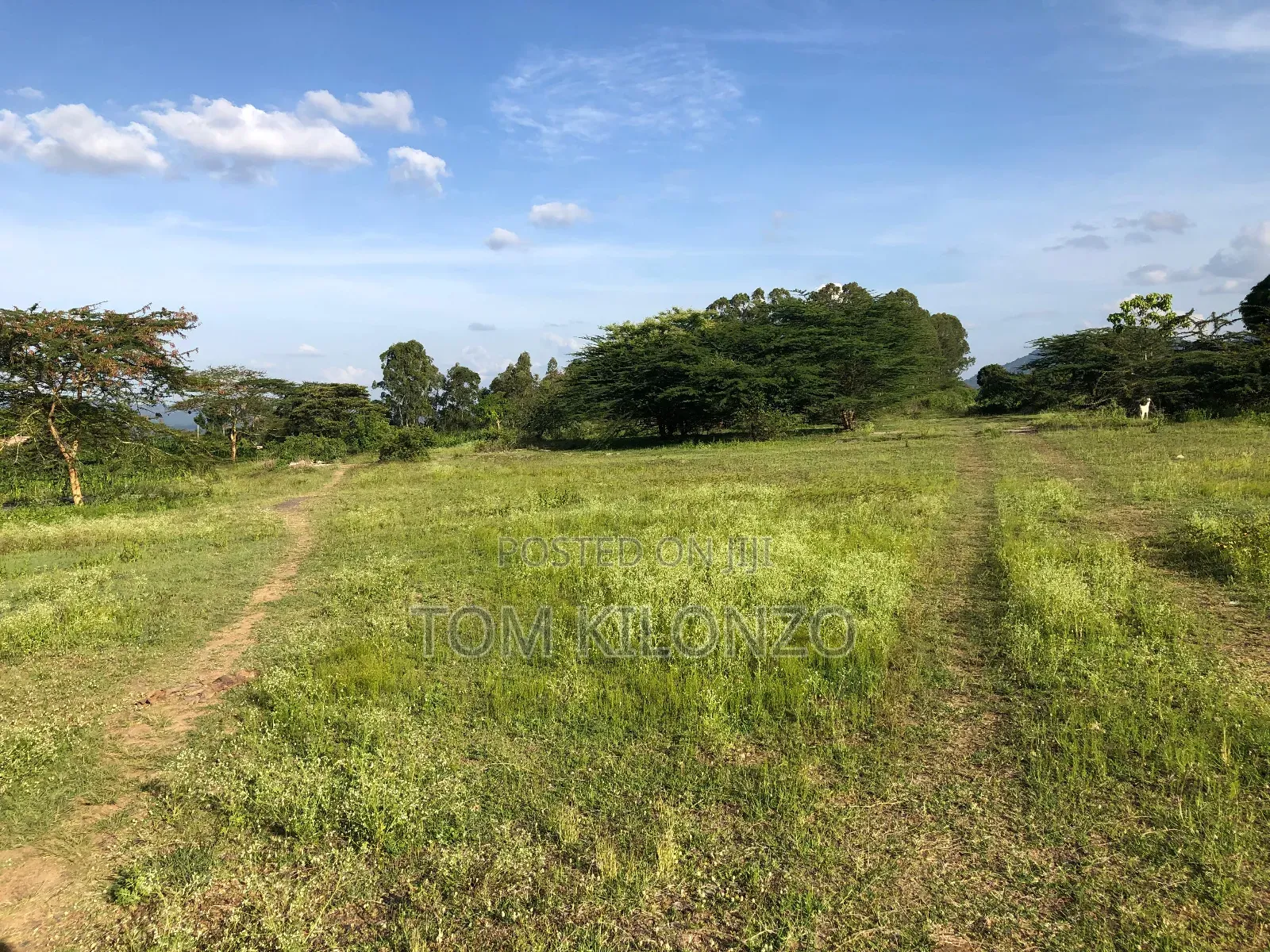 Prime 50 by 100 Plots for Sale.