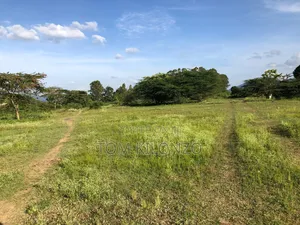 Prime 50 by 100 Plots for Sale.