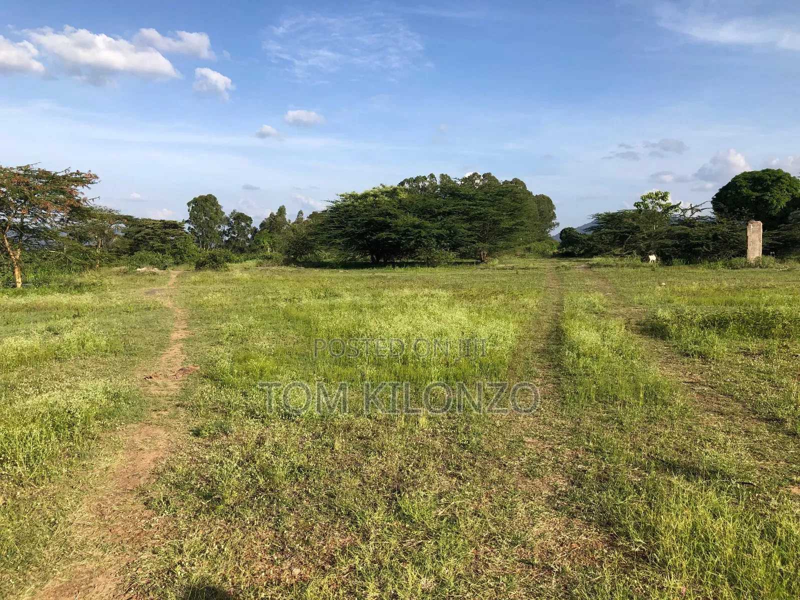 Prime 50 by 100 Plots for Sale.