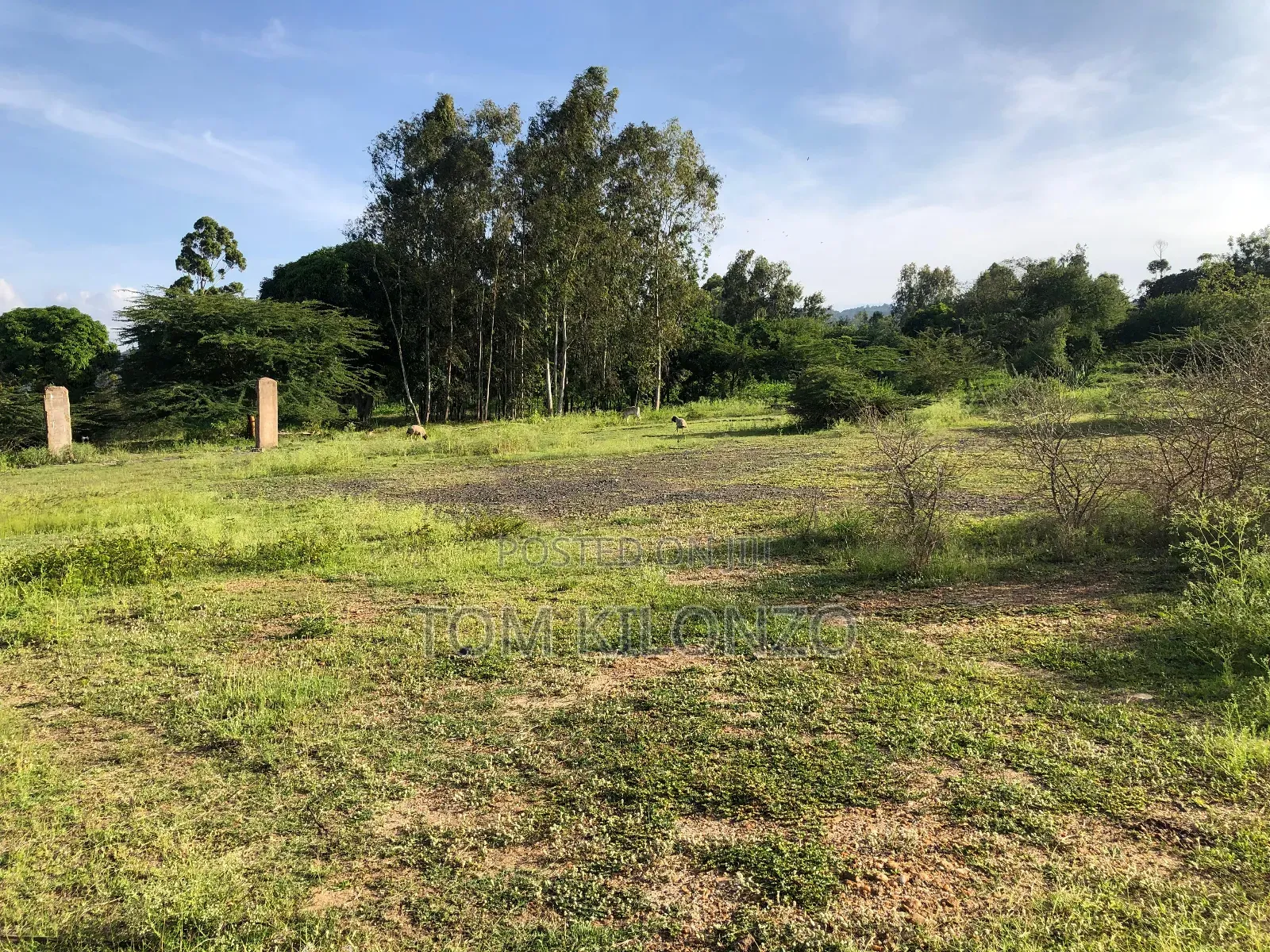 Prime 50 by 100 Plots for Sale.