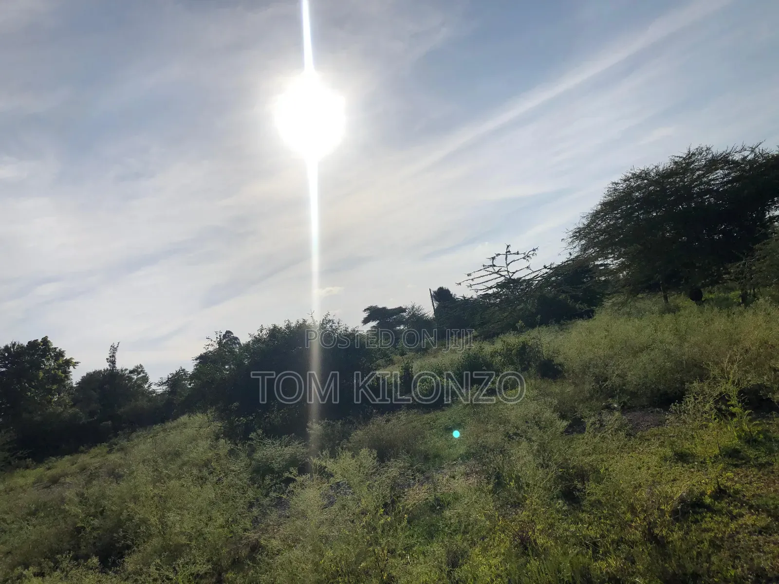 Prime 50 by 100 Plots for Sale.