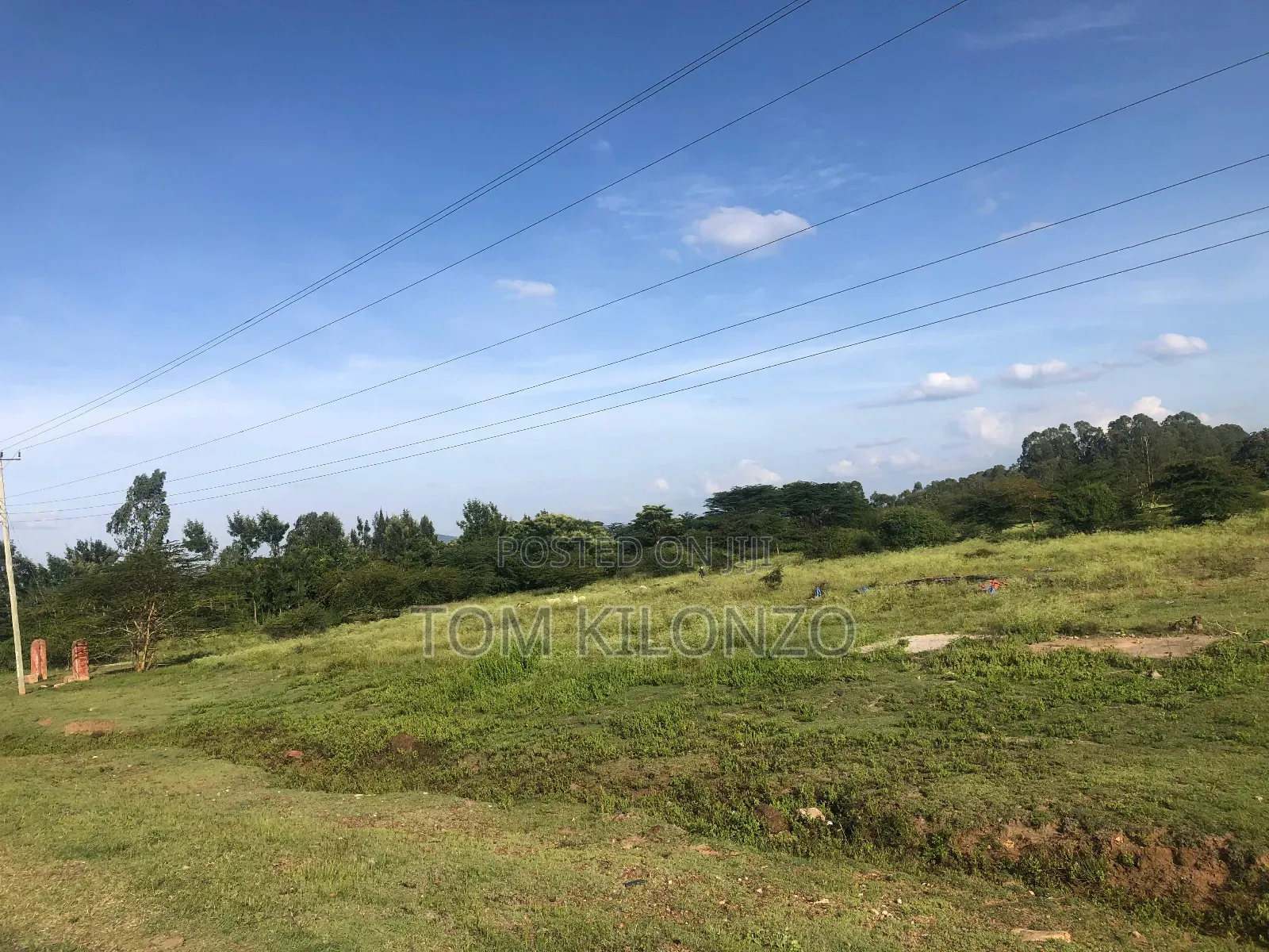 Prime 50 by 100 Plots for Sale.