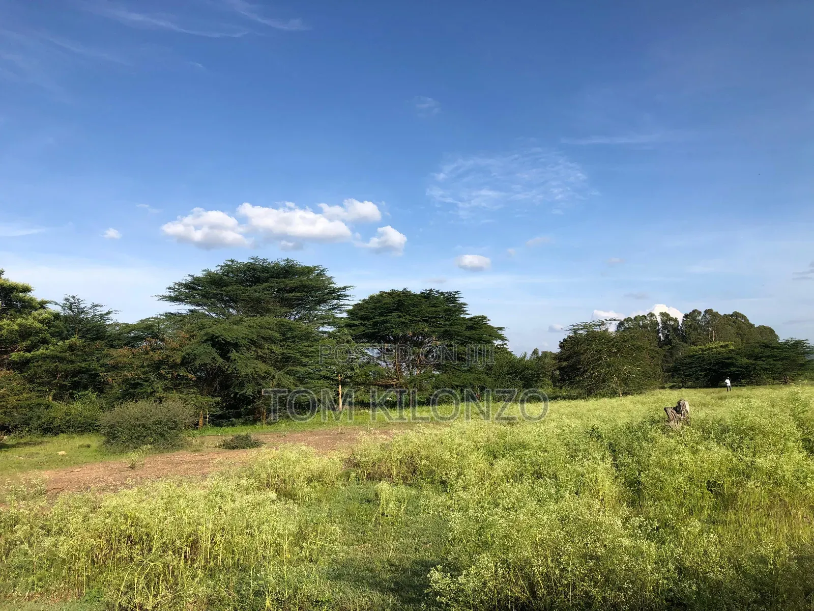 Prime 50 by 100 Plots for Sale.