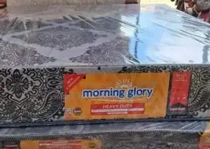 Morning Glory Quilted Mattress 8 Inches 5*6