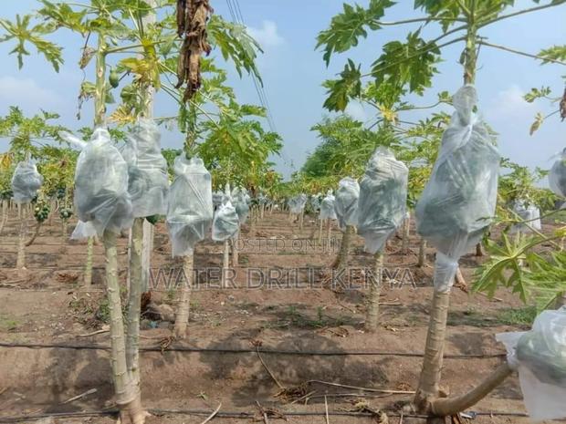 Agro Farm Consulting - main view