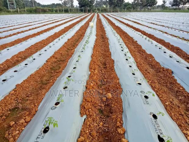 Agro Farm Consulting - thumbnail 3