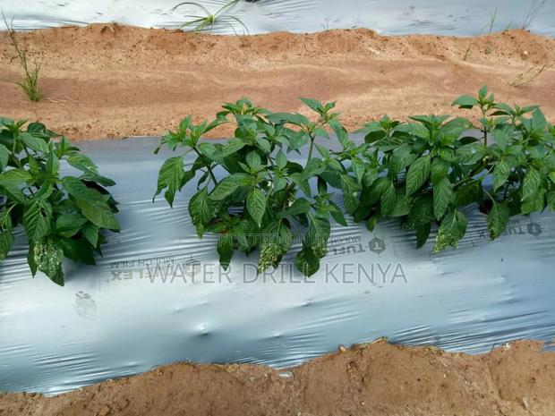 Agro Farm Consulting - thumbnail 5