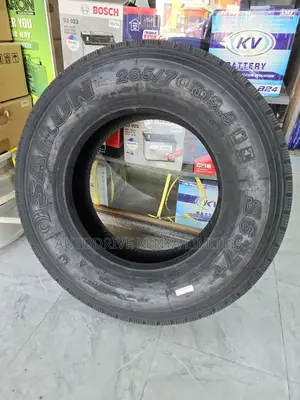 265/70r19.5 Sailun Tyre