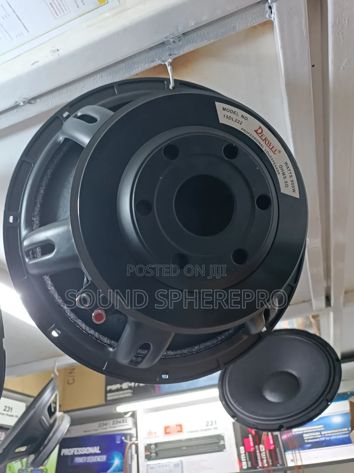 Derwel 15dl222 15inch Mis Speaker