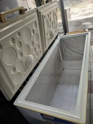 Haier Double Doors Deep Freezer