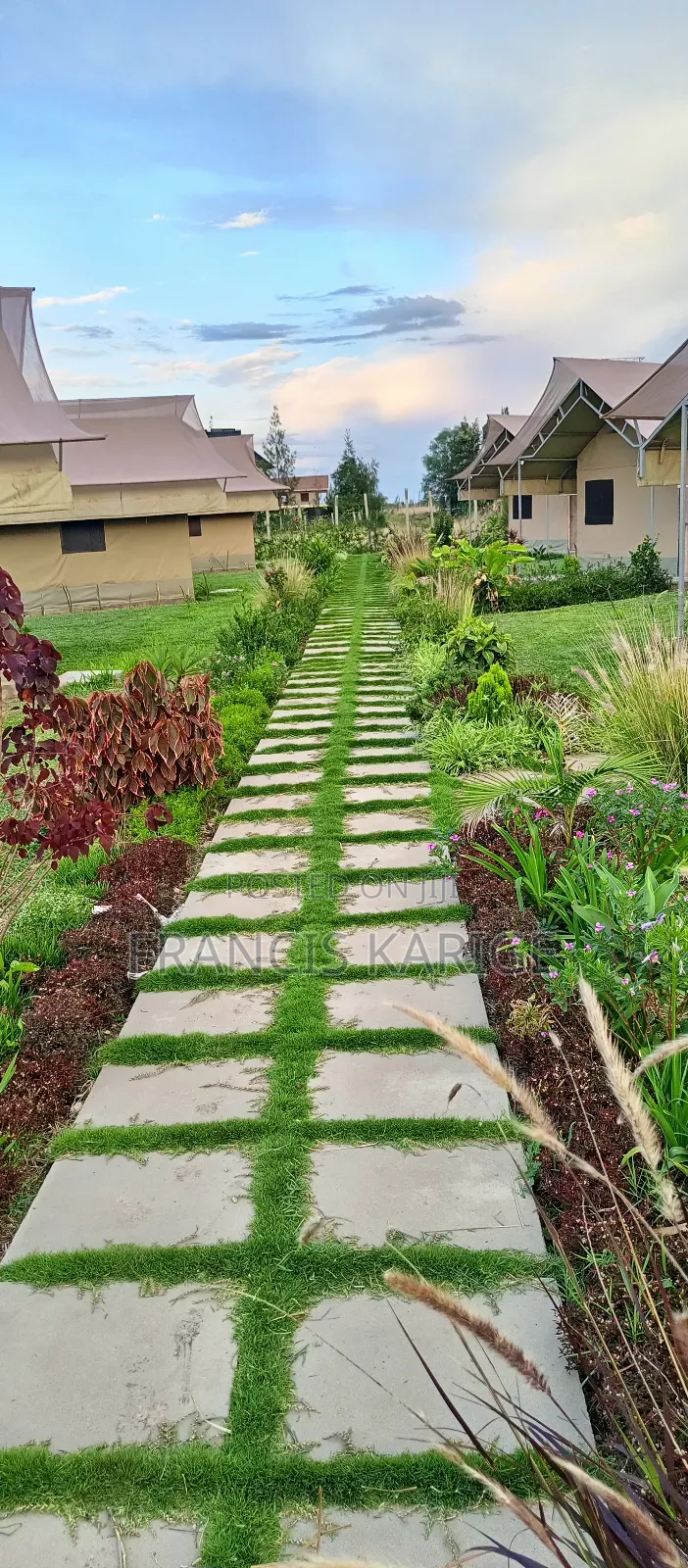 Landscaping Company