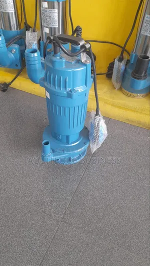 Clean Water Submersible Pump 1"