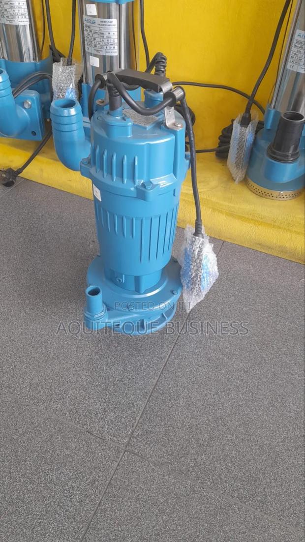 Clean Water Submersible Pump 1"