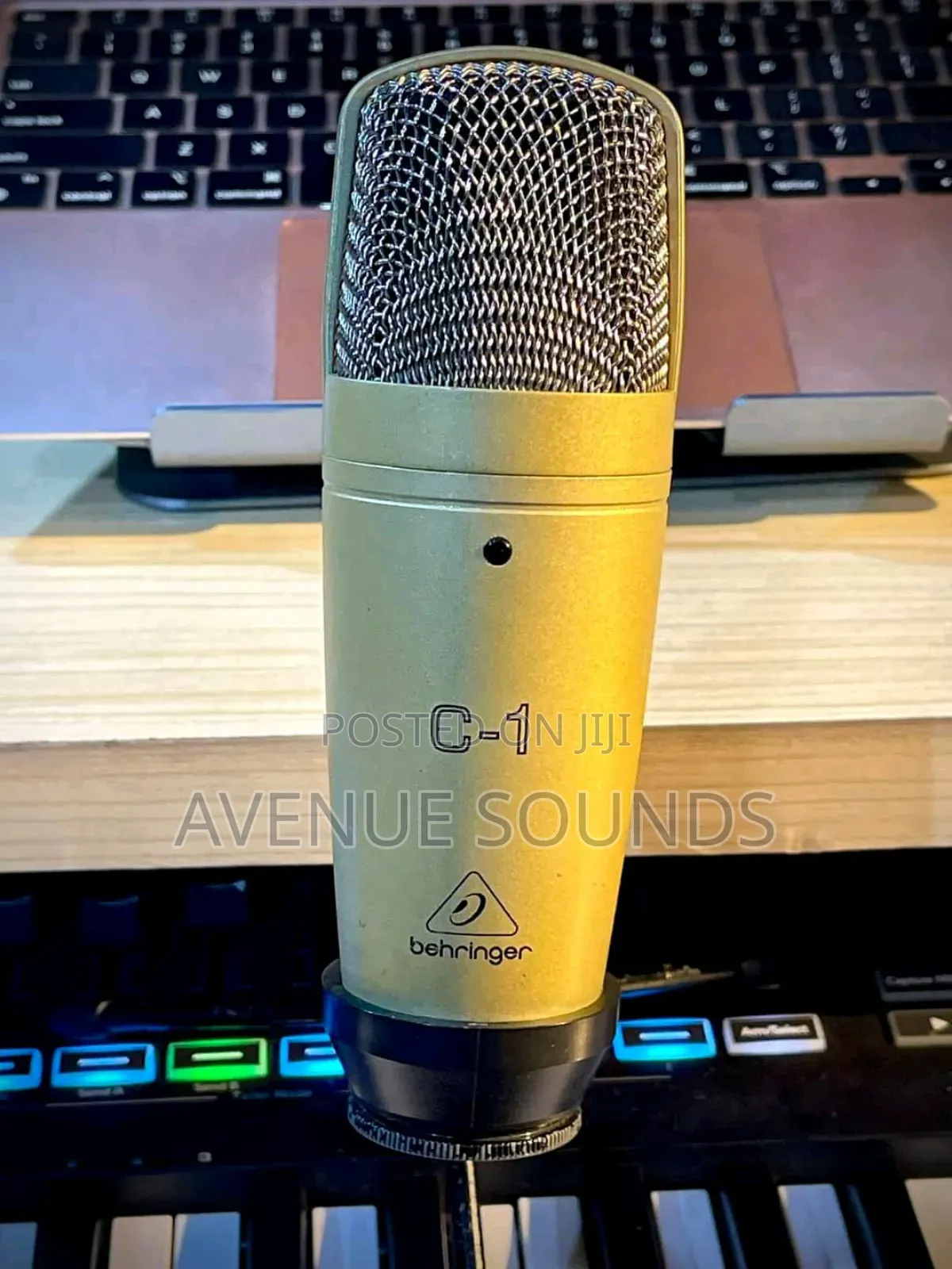 Professional Behringer C1 Studio Condenser Recording Mic