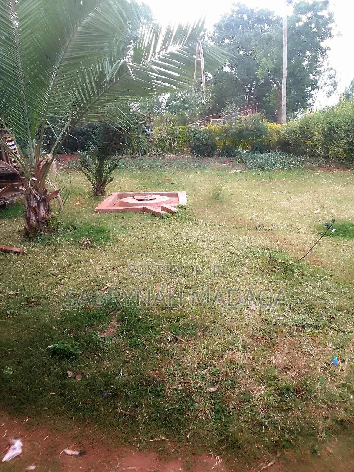 50 by 100 Plot in Kitale Owner