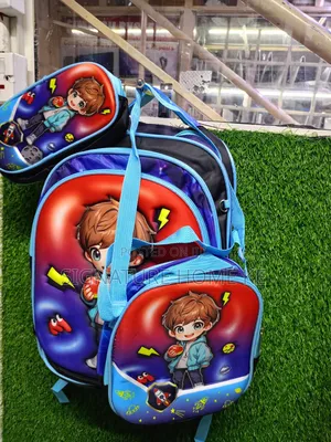 3 in 1 School Bag